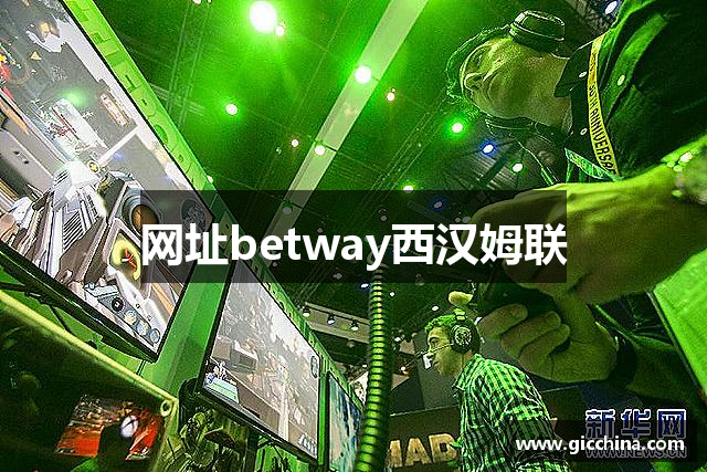 网址betway西汉姆联